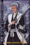 bleach20-20chojiro20sasakibe.jpg